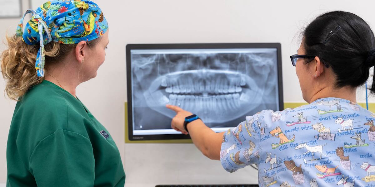 Genesis Dental staff looking at dental x-rays