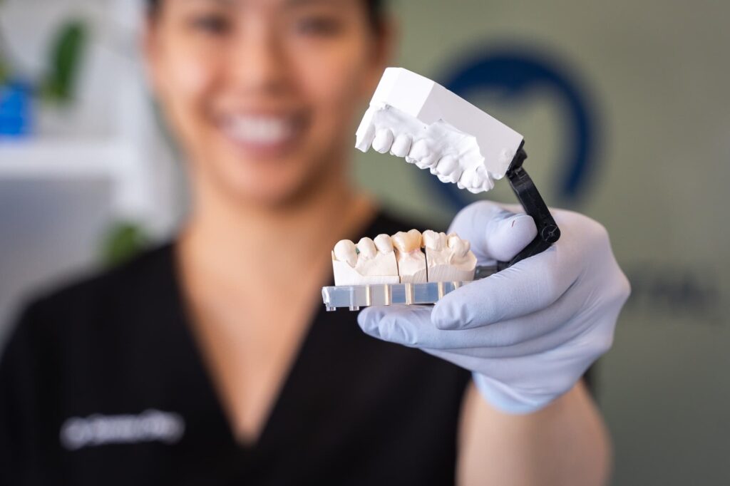 Dentist using teeth model to demonstrate at home care of tooth erosion